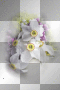 amon // spring flowers