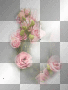 amon // spring flowers