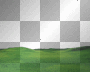 grass