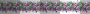 ≈Mardi Gras Divider≈