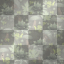 ≈Transparent Woodland Background≈