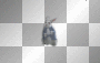 alice in wonderland alice in wonderland
