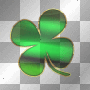 shamrock shamrock