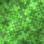 Background ~ SCRAPWORLD