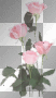 FLOWERS DECO;)