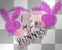 I luv my bunnys