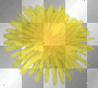Flowa