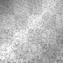 black & white ' animated strobe background
