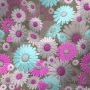 pink blue white daisy ' bright background