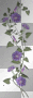 purple flowers