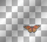 farfalla