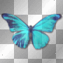 Butterfly Butterfly