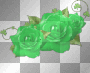 ΦGreen Roses-St. Patrick's DayΦ
