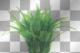 WIOSNA SPRING  TRANSPARENT GRASS GREEN 