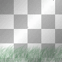 grass