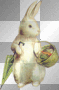 bunny b75