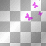 butterfly -k♥-