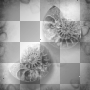 Background black white
