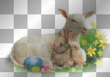 WIELKANOC EASTER TRANSPARENT 