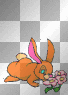 rabbit animated