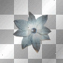 Flower Flower
