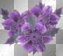 Purple spring glitter flowers-*s*