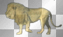 Lion walking