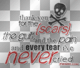 thank you for the {scars} the guil and the pain and every tear i´ve never cried