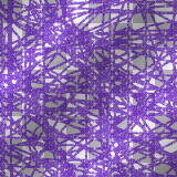 Purple & White Background