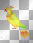 parrott