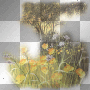 yellow field landscape ' transparent