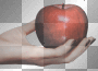 apple hand©dK