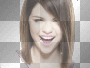 Seel