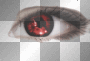 eye bella ©dK