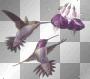birds ©dK