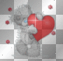 bear bear