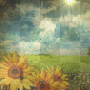 Animated background Animated background