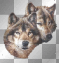 wolf b75