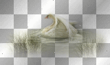 WIOSNA SPRING  TRANSPARENT BIRD GRASS
