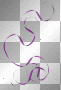 ○•Animated Purple Curly Ribbon○•