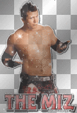 the miz