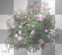 WIOSNA SPRING TRANSPARENT SUMMER TREE WIOSNA SPRING TRANSPARENT SUMMER TREE