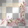 RAMCIA  FRAME TRANSPARENT BORDER FLOWER