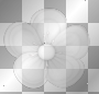 fleur blanc deco -c