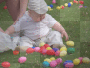 noah easter