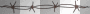 Barbed Wire