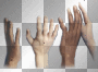 Cora hands