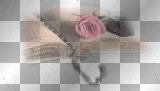 book with a rose