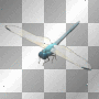 dragonfly dragonfly