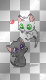 cats in love